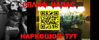 ECSTASY Северобайкальск