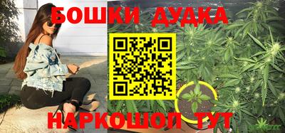 ПСИЛОЦИБИНОВЫЕ ГРИБЫ Свободный