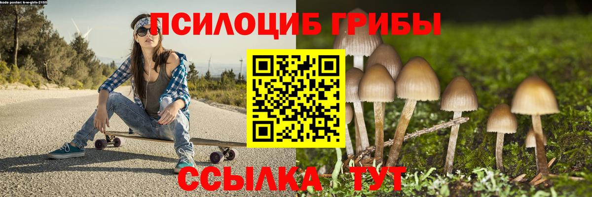Галлюциногенные грибы MAGIC MUSHROOMS Ачхой-Мартан