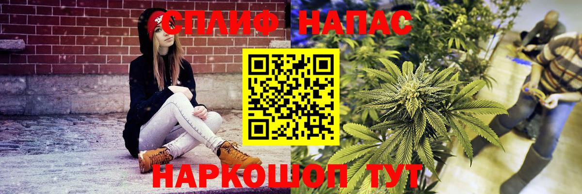 Шишки марихуана AK-47  Вход с VPN  Бошки марихуана сатива  Марихуана VHQ  Ачхой-Мартан 